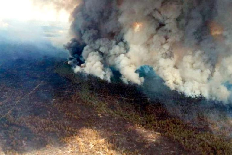 Уроки не усвоены, министр уволен: Токаев упрекнул чиновников на фоне пожаров в Казахстане